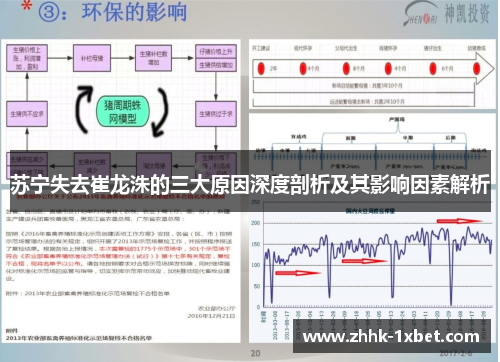 苏宁失去崔龙洙的三大原因深度剖析及其影响因素解析