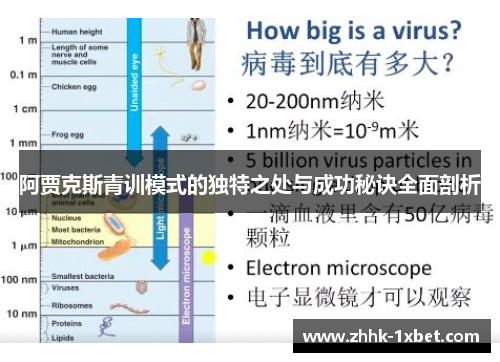 阿贾克斯青训模式的独特之处与成功秘诀全面剖析 阿贾克斯青训模式的独特之处与成功秘诀全面剖析