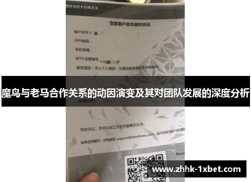 魔鸟与老马合作关系的动因演变及其对团队发展的深度分析